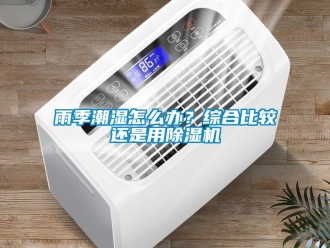 行業(yè)新聞雨季潮濕怎么辦？綜合比較還是用除濕機