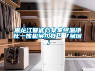 知識百科黑龍江智能檔案室恒溫凈化一體機多少錢＊「多圖」