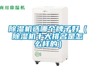 行業(yè)新聞除濕機選哪個牌子好（除濕機十大排名是怎么樣的）