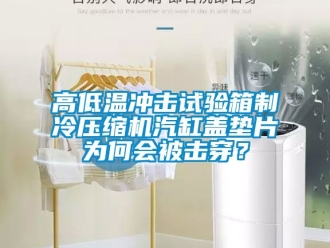 常見問題高低溫沖擊試驗箱制冷壓縮機汽缸蓋墊片為何會被擊穿？