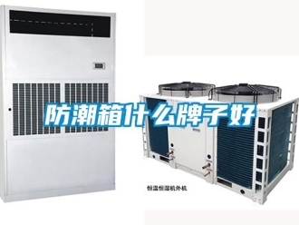 常見問題防潮箱什么牌子好