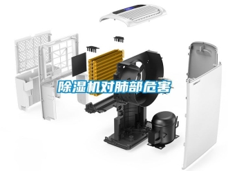 行業(yè)新聞除濕機對肺部危害