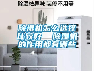 行業新聞除濕機怎么選擇比較好  除濕機的作用都有哪些
