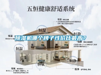 行業新聞除濕機哪個牌子性價比最高？