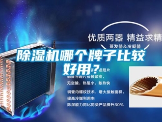 行業新聞除濕機哪個牌子比較好用？
