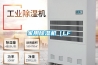 家用除濕機（LF