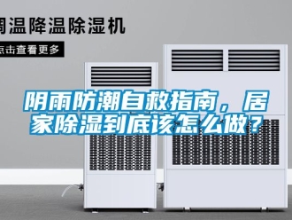 常見問題陰雨防潮自救指南，居家除濕到底該怎么做？