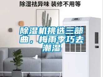 行業新聞除濕機挑選三部曲，梅雨季巧去潮濕
