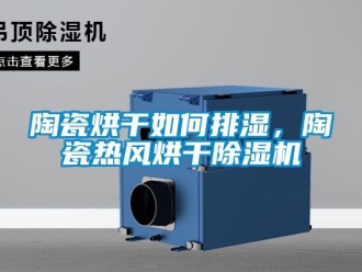 行業(yè)新聞陶瓷烘干如何排濕，陶瓷熱風烘干除濕機
