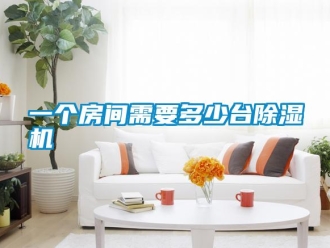 知識百科一個房間需要多少臺除濕機