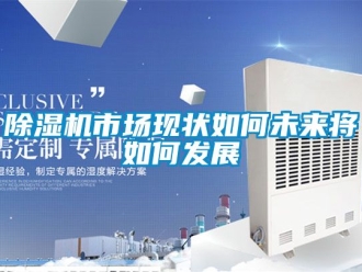 行業(yè)新聞除濕機(jī)市場(chǎng)現(xiàn)狀如何未來(lái)將如何發(fā)展