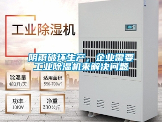 常見問題陰雨破壞生產，企業需要工業除濕機來解決問題