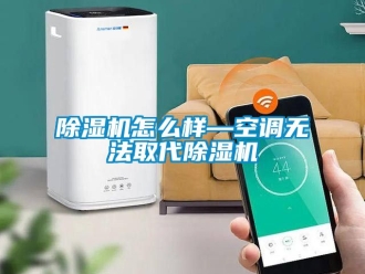 行業新聞除濕機怎么樣—空調無法取代除濕機