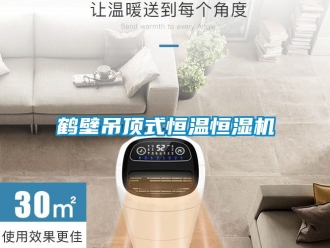 知識百科鶴壁吊頂式恒溫恒濕機