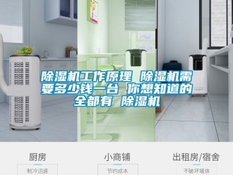 行業(yè)新聞除濕機工作原理 除濕機需要多少錢一臺 你想知道的全都有 除濕機