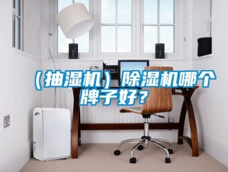 企業新聞（抽濕機）除濕機哪個牌子好？