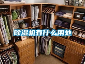 行業新聞除濕機有什么用處