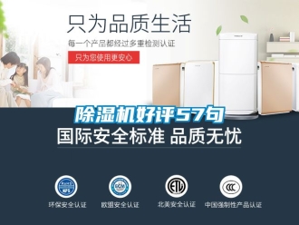 行業新聞除濕機好評57句