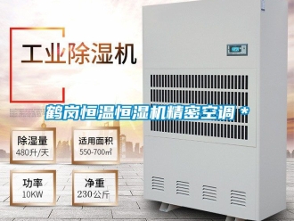 知識百科鶴崗恒溫恒濕機精密空調＊