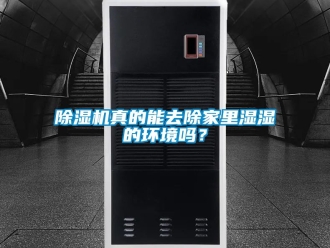 行業新聞除濕機真的能去除家里濕濕的環境嗎？