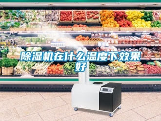 行業新聞除濕機在什么溫度下效果好