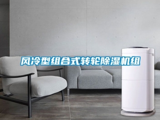 常見問題風冷型組合式轉輪除濕機組