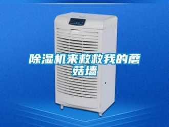 行業(yè)新聞除濕機(jī)來救救我的蘑菇墻
