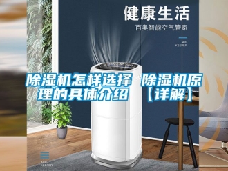 行業新聞除濕機怎樣選擇 除濕機原理的具體介紹 【詳解】