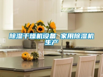 常見問題除濕干燥機設(shè)備 家用除濕機生產(chǎn)