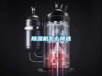 行業新聞除濕機怎么挑選
