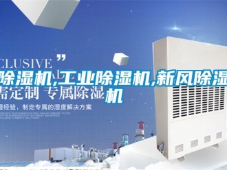 常見問題除濕機,工業除濕機,新風除濕機