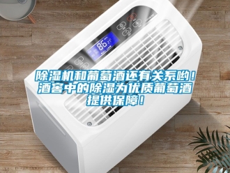 行業(yè)新聞除濕機和葡萄酒還有關(guān)系喲！酒窖中的除濕為優(yōu)質(zhì)葡萄酒提供保障！