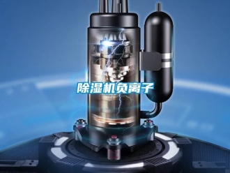 行業新聞除濕機負離子