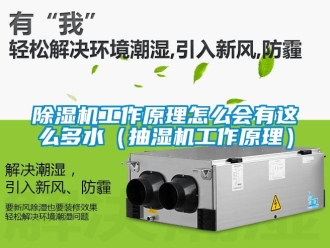 行業(yè)新聞除濕機(jī)工作原理怎么會(huì)有這么多水（抽濕機(jī)工作原理）