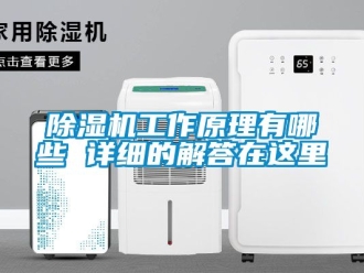 行業新聞除濕機工作原理有哪些 詳細的解答在這里