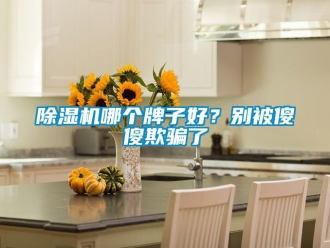 行業(yè)新聞除濕機哪個牌子好？別被傻傻欺騙了