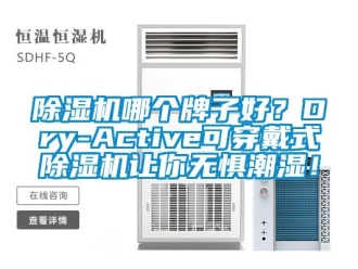 行業(yè)新聞除濕機哪個牌子好？Dry-Active可穿戴式除濕機讓你無懼潮濕！