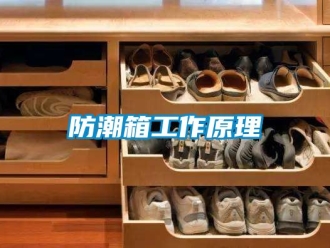 常見問題防潮箱工作原理
