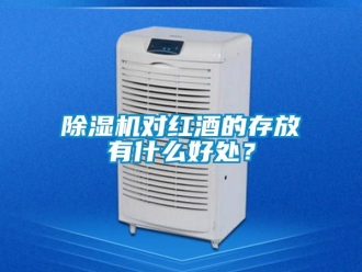 行業(yè)新聞除濕機對紅酒的存放有什么好處？