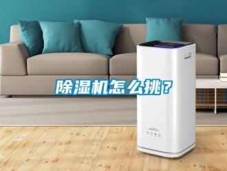行業新聞除濕機怎么挑？