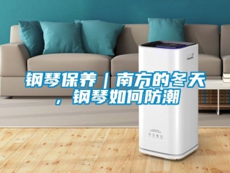 常見問題鋼琴保養｜南方的冬天，鋼琴如何防潮