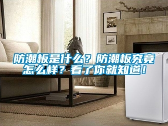 常見問題防潮板是什么？防潮板究竟怎么樣？看了你就知道！