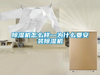 行業新聞除濕機怎么樣—為什么要安裝除濕機