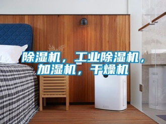 常見問題除濕機，工業除濕機，加濕機，干燥機