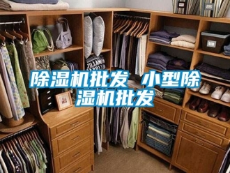 行業新聞除濕機批發 小型除濕機批發