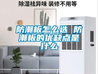 常見問題防潮板怎么選 防潮板的優缺點是什么