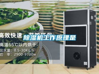 行業(yè)新聞除濕機(jī)工作原理是