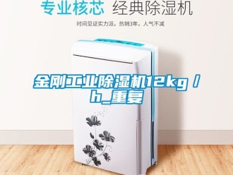 常見問題金剛工業除濕機12kg／h_重復