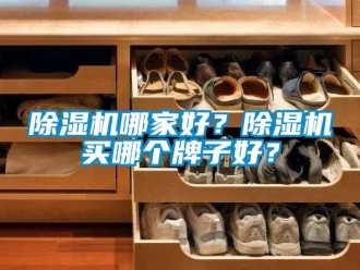 行業(yè)新聞除濕機(jī)哪家好？除濕機(jī)買哪個(gè)牌子好？