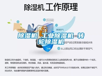 常見問題除濕機 工業(yè)除濕機 轉(zhuǎn)輪除濕機